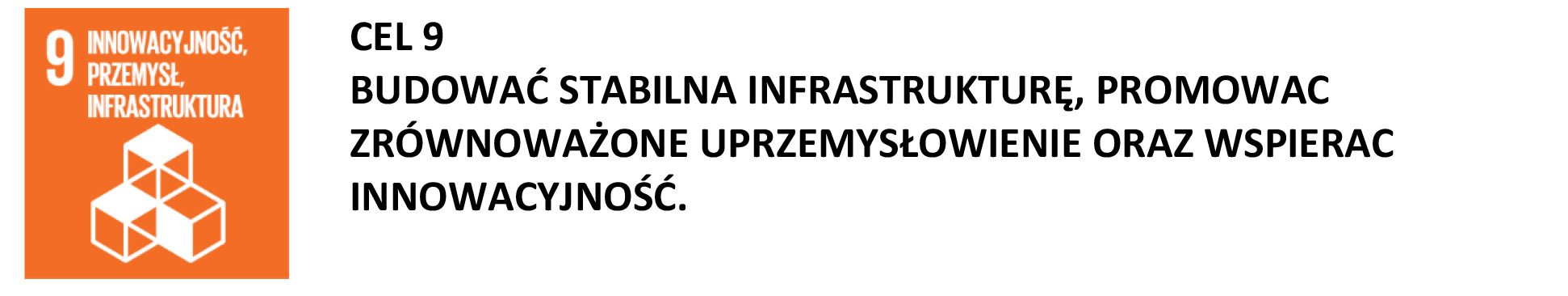 Cel 9: Promowanie stabilnej infrastruktury i innowacyjności w przemyśle.